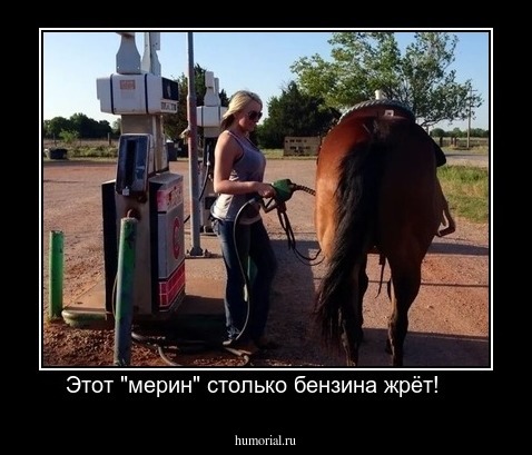 Этот "мерин" столько бензина жрёт!    