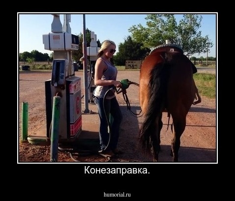 Конезаправка.