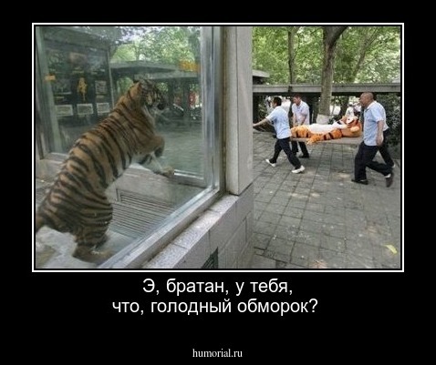Э, братан, у тебя, что,  голодный обморок?