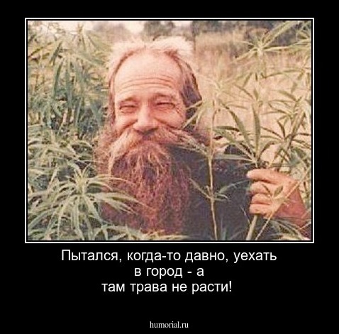 Пытался, когда-то давно, уехать в город - а там трава не расти!