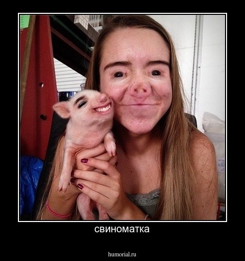 свиноматка