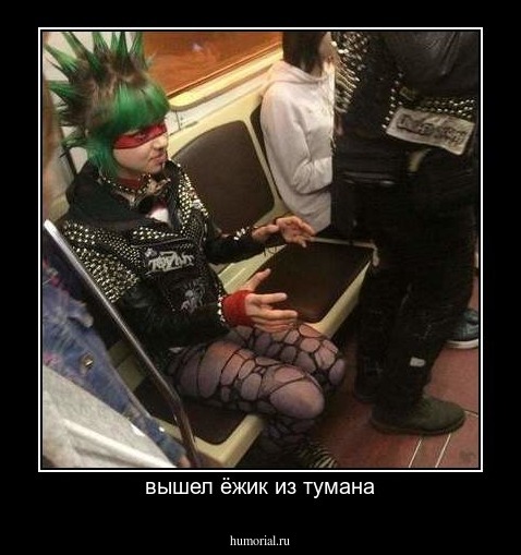 вышел ёжик из тумана