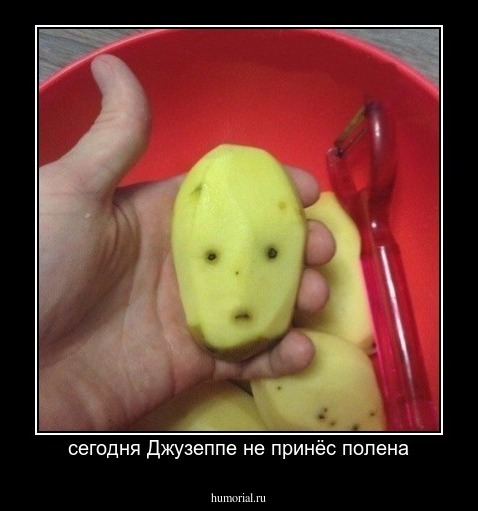 сегодня Джузеппе не принёс полена