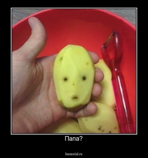 Папа?