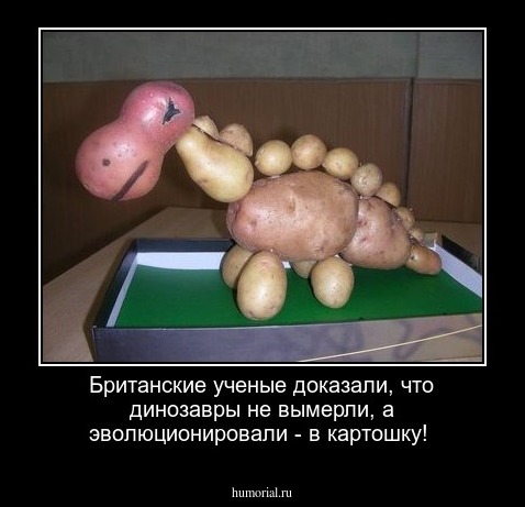 Британские ученые доказали,  что динозавры не вымерли, а эволюционировали - в картошку!