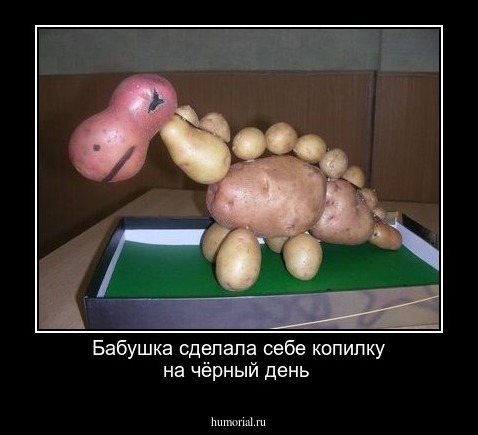 Бабушка сделала себе  копилку  на  чёрный день
