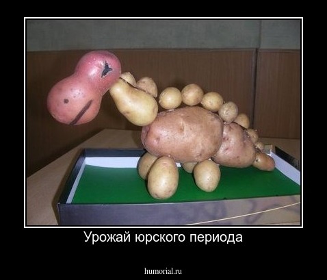 Урожай юрского периода