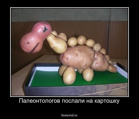 Палеонтологов послали на картошку