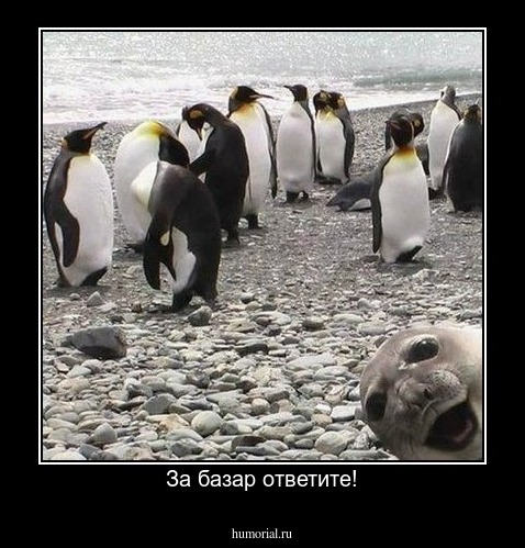 За базар ответите!