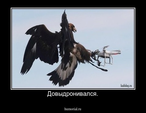 Довыдронивался.