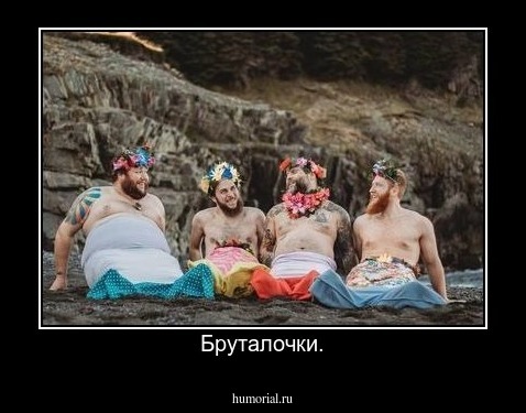 Бруталочки.
