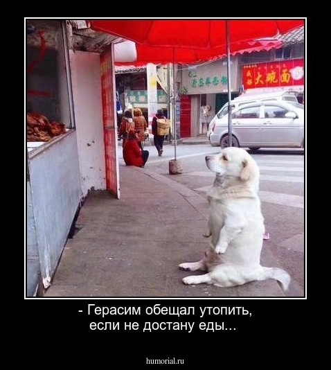 - Герасим обещал утопить, если не достану еды...