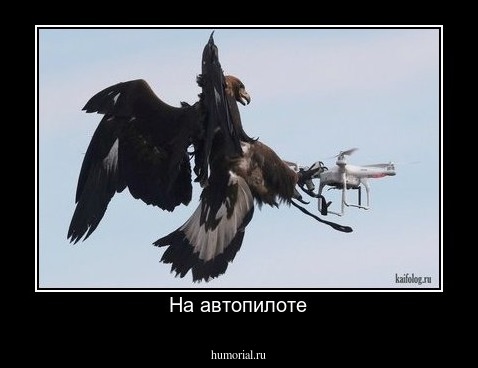 На автопилоте