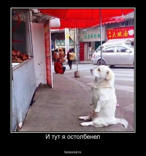 И тут я остолбенел