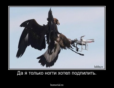 Да я только ногти хотел подпилить.