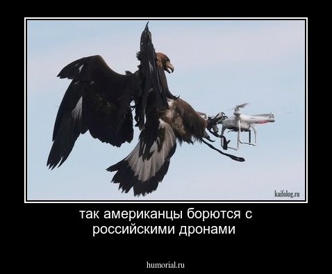 так американцы борются с российскими дронами