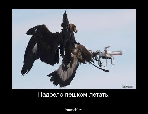 Надоело пешком летать.