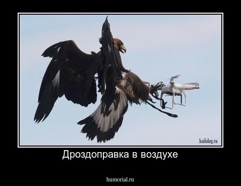 Дроздоправка в воздухе