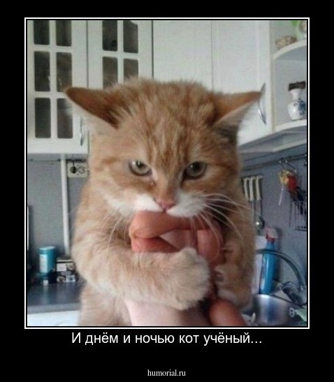 И днём и ночью кот учёный...