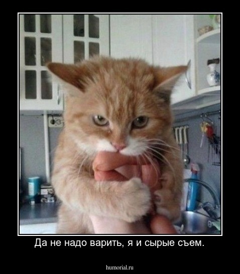 Да не надо варить, я и сырые съем.