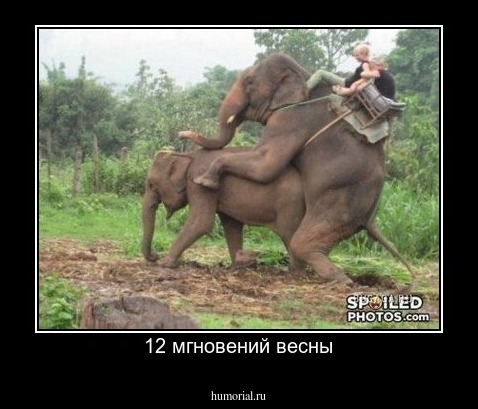 12 мгновений весны