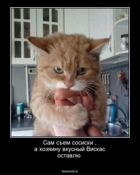 Сам съем  сосиски , а хозяину вкусный   Вискас оставлю