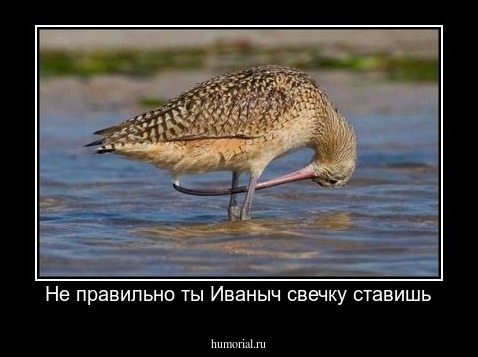Не правильно ты Иваныч свечку ставишь