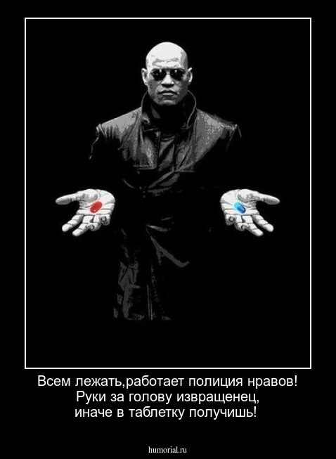 Всем лежать,работает полиция нравов! Руки за голову извращенец, иначе в таблетку  получишь!