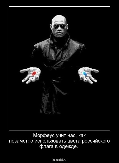 Морфеус учит нас, как незаметно использовать цвета российского флага в одежде.