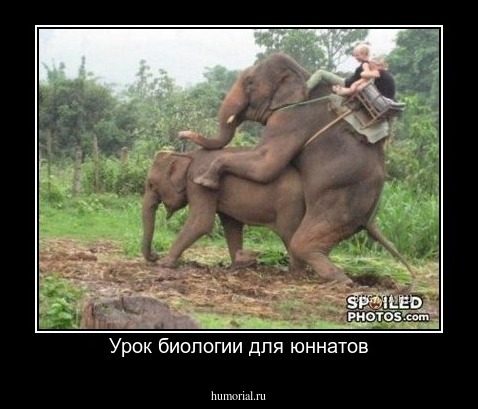 Урок биологии для юннатов