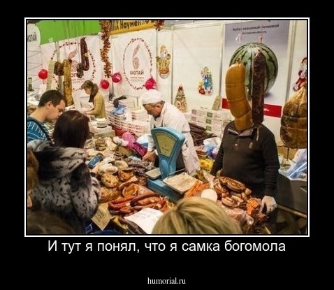 И тут я понял, что я самка богомола