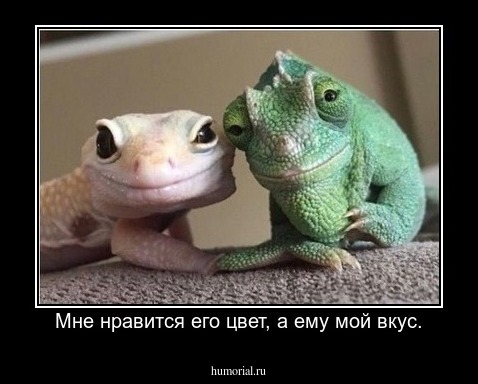 Мне нравится его цвет, а ему мой вкус.