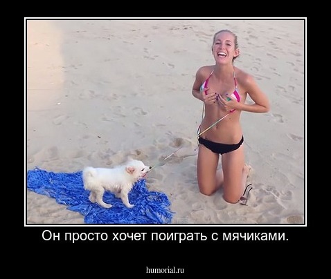 Он просто хочет поиграть с мячиками.