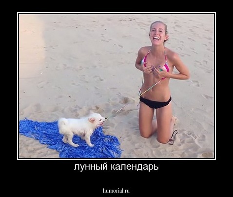 лунный календарь