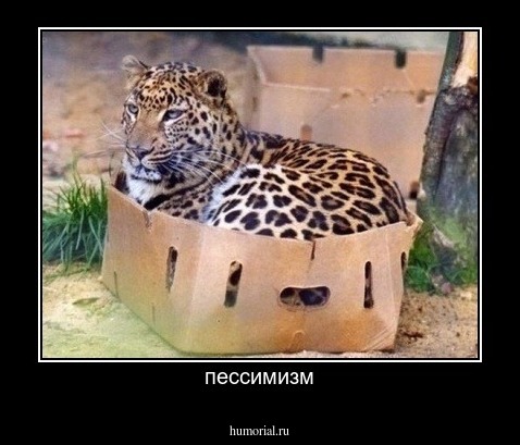 пессимизм