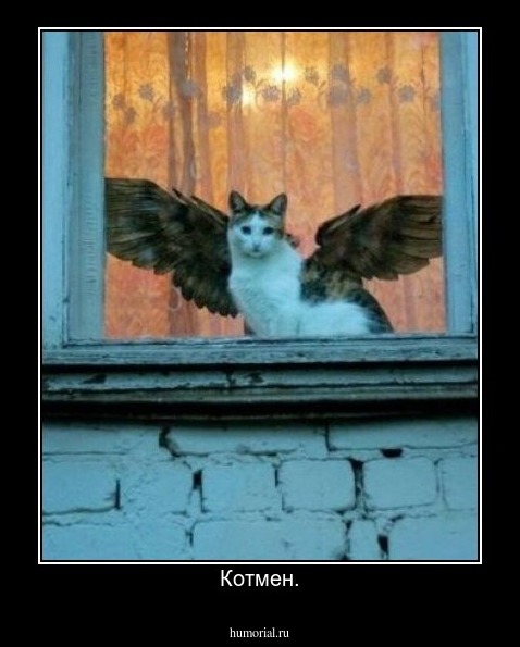 Котмен.