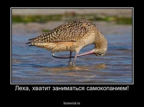 Леха, хватит заниматься самокопанием!