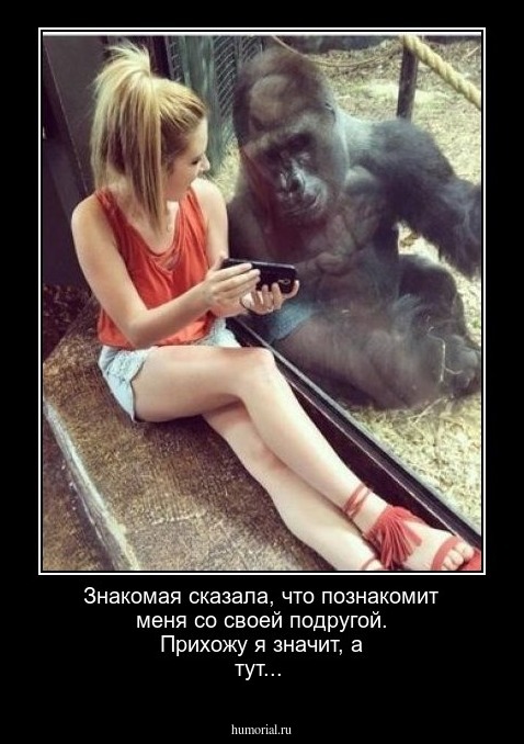 Знакомая сказала, что познакомит меня со своей подругой. Прихожу я значит, а тут...