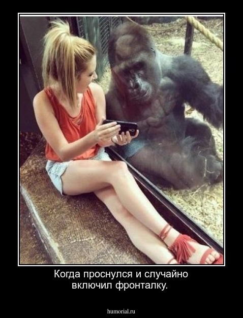 Когда проснулся и случайно включил фронталку.