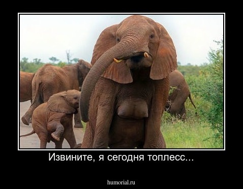 Извините, я сегодня топлесс...