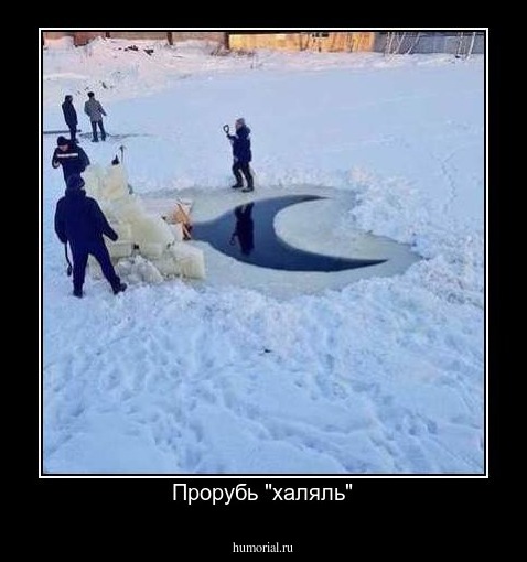 Прорубь "халяль"
