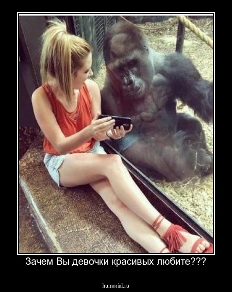 Зачем Вы девочки красивых любите???