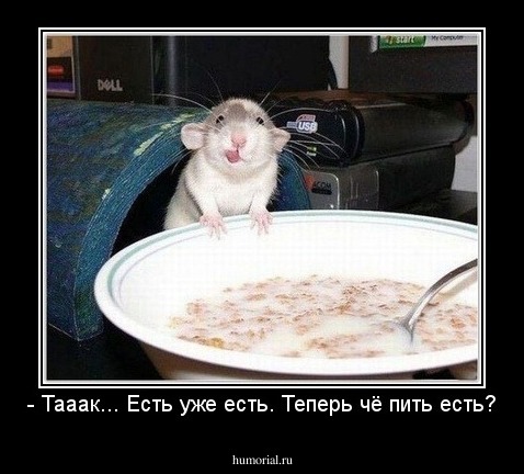 - Тааак... Есть уже есть. Теперь чё пить есть?