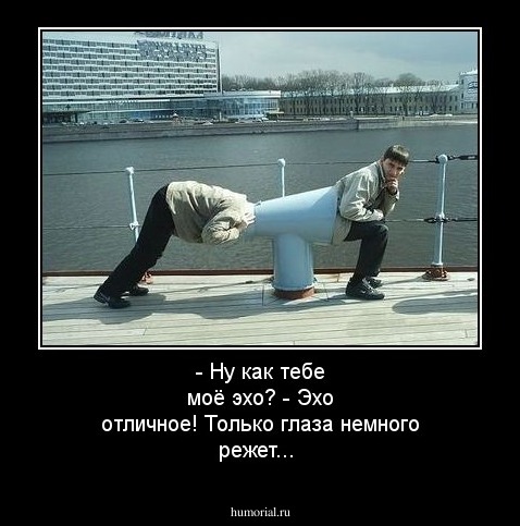 - Ну как тебе моё эхо?
- Эхо отличное! Только глаза немного режет...