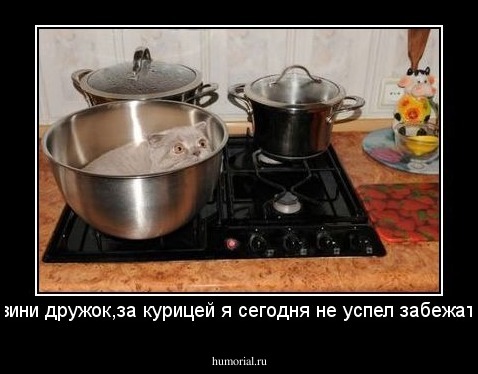 Извини дружок,за курицей я сегодня не успел забежать...
