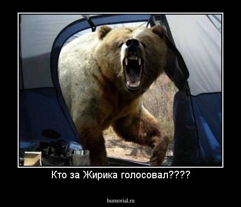Кто за Жирика голосовал????