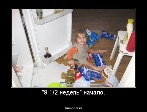 "9 1/2 недель" начало.