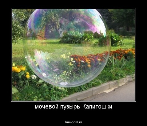 мочевой пузырь Капитошки