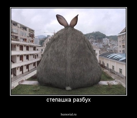 степашка разбух