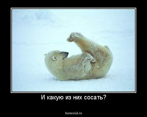 И какую из них сосать?